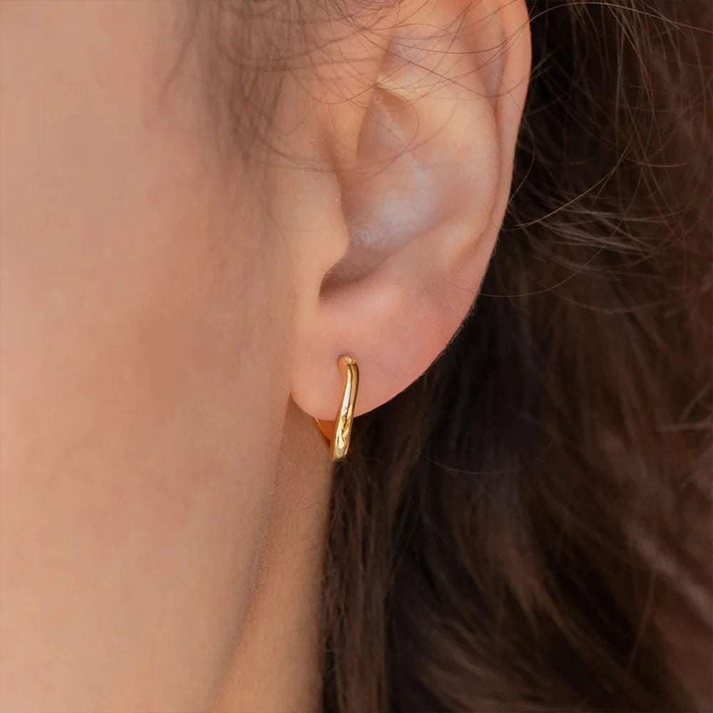 Chunky Hollow Hoop Earrings