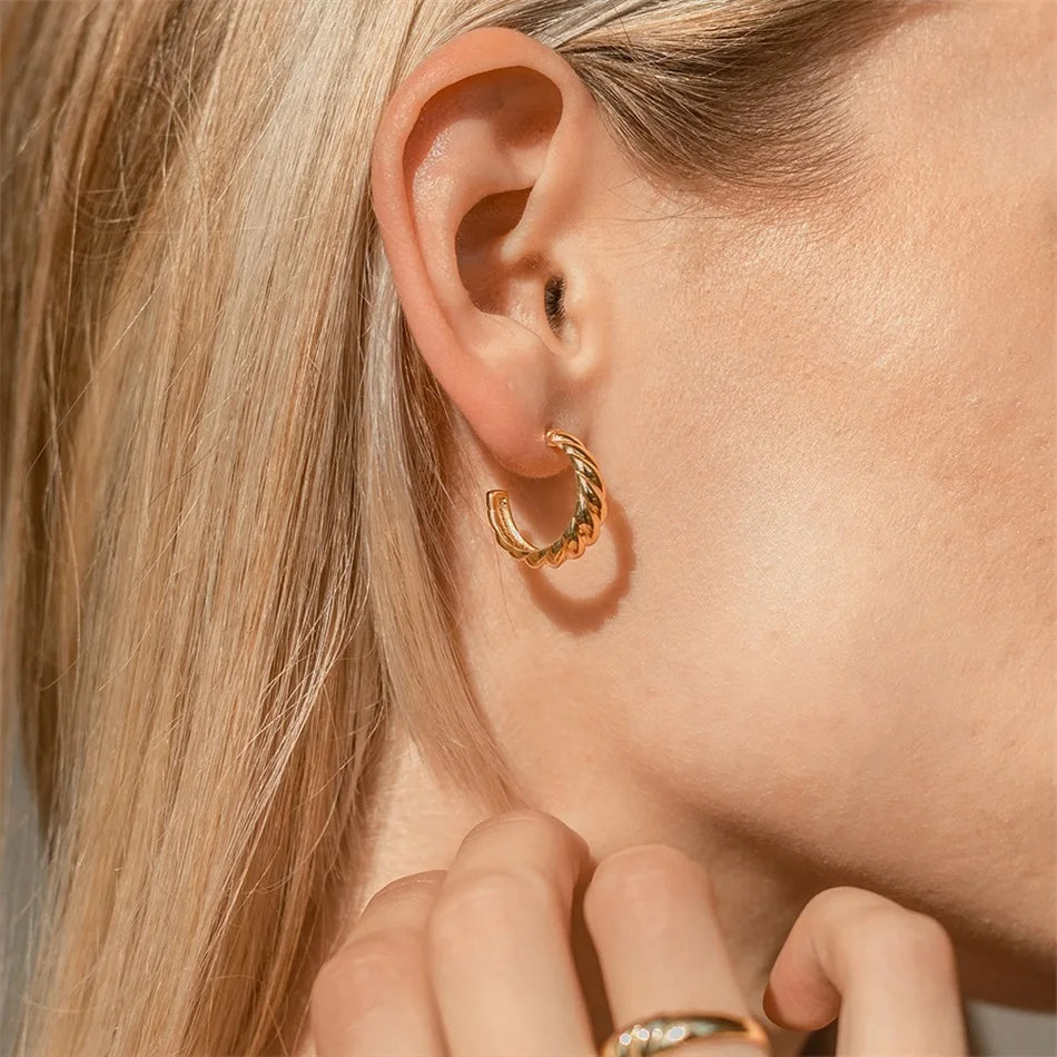 Twisted Hoop Earrings