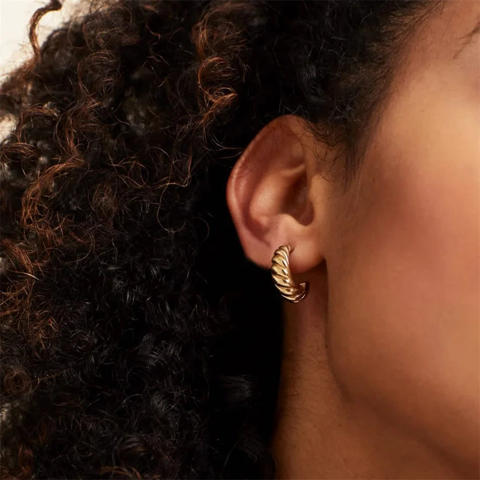 Twisted Hoop Earrings